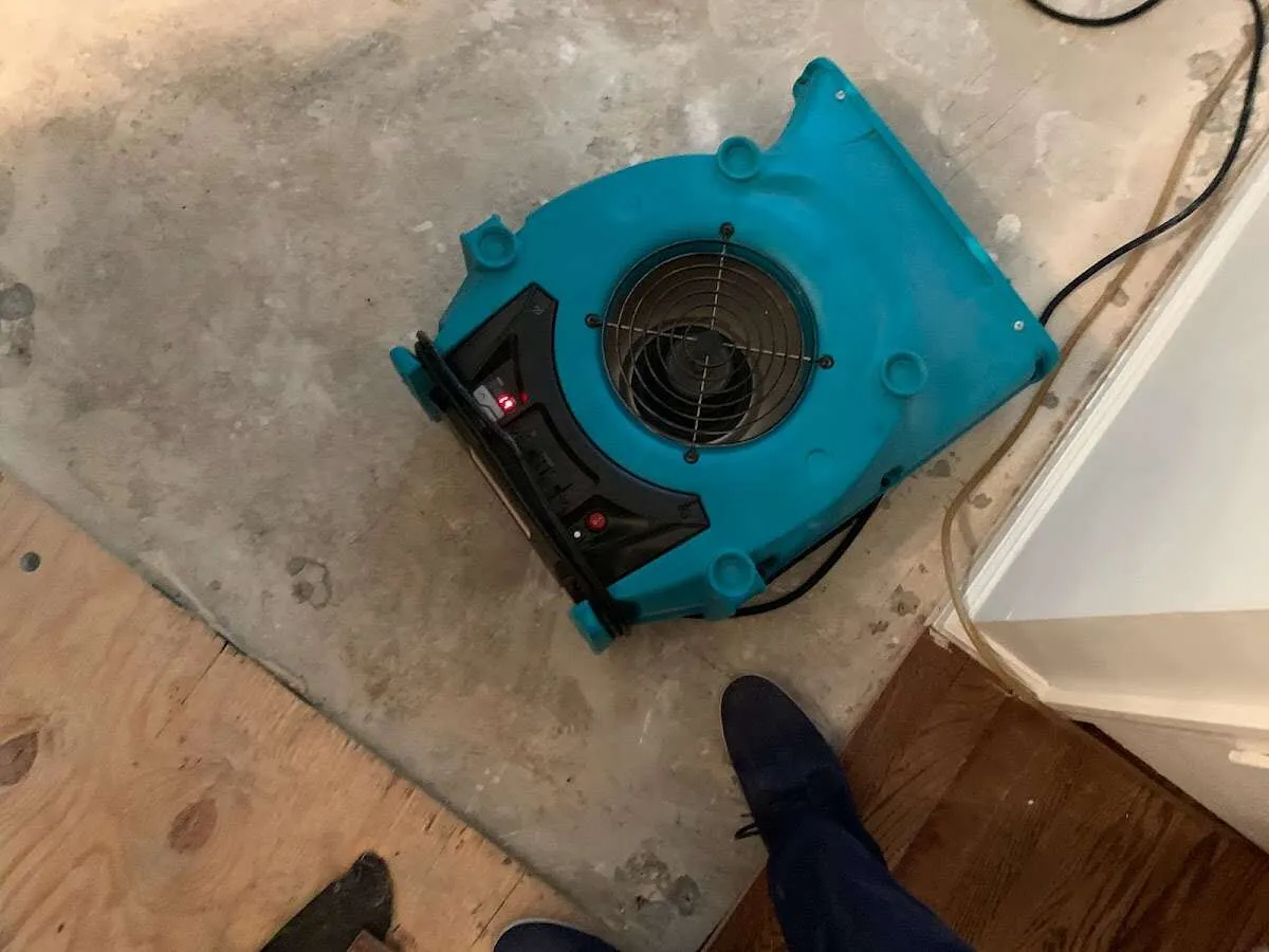 Air mover drying subfloor during Leak Detection & Repair in Silverdale
